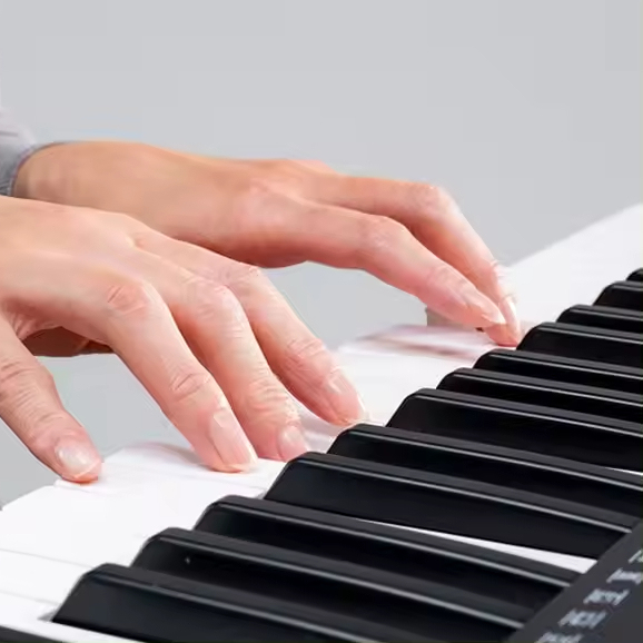 Yamahas Psr E273 Upgraded Version E283 Portable 61 Keys Digital Electronic Organ Keyboard Musical Instrument for Beginner