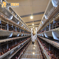 Cages automatiques galvanisées plongées chaudes de batterie d'équipement d'élevage de poulet pour 15000 couches