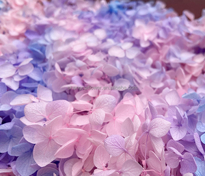 Pétales stabilisés, mousse et plantes murales, cadeau décoratif, vente en gros, <span class=keywords><strong>fleurs</strong></span> réelles, bouquet de roses et hortensias au toucher réel - Product Image 4