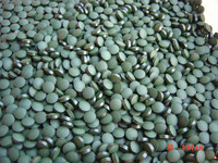 Spiruline Minceur Capsule/Tablette Haute Qualité Spiruline Diabète