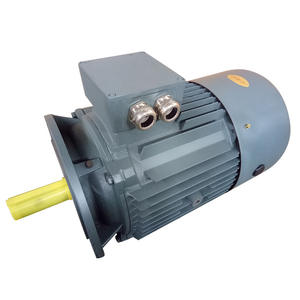 Moteur YE4 haute puissance à noyau tout cuivre horizontal ultra-efficace 280/315KW, fréquence 60Hz, niveau 2 d'efficacité énergétique - Product Image 3