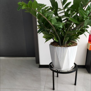 Runde Stützen Display Rack Tiered <span class=keywords><strong>Plant</strong></span> <span class=keywords><strong>Stand</strong></span> Shelf 5er Pack Abnehmbare Metall pflanzenst änder für drinnen und draußen - Product Image 5