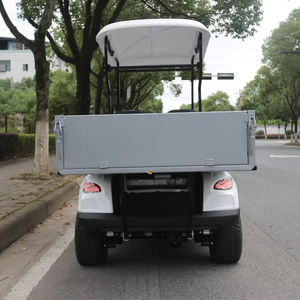Manufacturers Customisable Brand 48V/350A Electric Golf Cart With Cargo Bed - Product Image 2