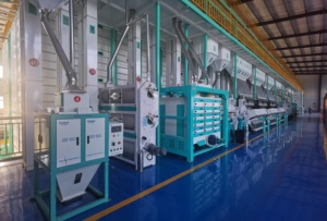 Solution complète de décorticage du riz de l'embout à l'embout avec trieuse chromatique Motor Meyer MYZL 2026, capacité de 50 à 1000 TPD, certifiée ISO9001 - Product Image 2