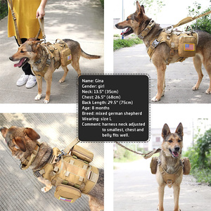 Hondenhalsband op maat met bungee-riemset, tactisch hondenvesttuig, anti-trek hondenharnas, reistassen voor huisdieren - Product Image 5