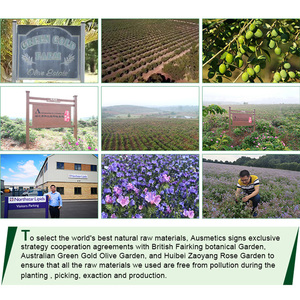 Limpiador facial hidratante <span class=keywords><strong>de</strong></span> miel, <span class=keywords><strong>espuma</strong></span> <span class=keywords><strong>de</strong></span> limpieza facial <span class=keywords><strong>de</strong></span> humedad, venta al por mayor <span class=keywords><strong>de</strong></span> fábrica - Product Image 4