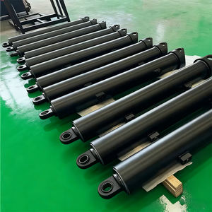 בוכנה הידראולית להרמת רכבים בעיצוב מותאם אישית, בוכנה הידראולית כפולת פעולה למלגזה, סט שלם - Product Image 2