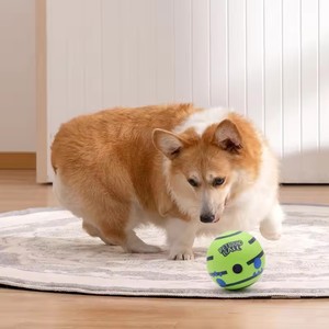 Nouveau jouet couineur pour <span class=keywords><strong>chien</strong></span> en <span class=keywords><strong>plastique</strong></span>, indestructible, pour l'extérieur, pour la dentition et l'auto-amusement, très vendu - Product Image 4