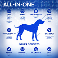 Blister pour aliments pour chiens de marque privée Capsules multivitaminées Nutrition Multivitamines Vitamines et suppléments pour chiens