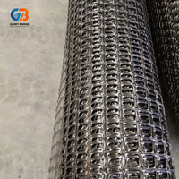 Géogrille uniaxiale extrudée haute résistance pour les applications de pavage routier, ferroviaire et de renforcement des sols