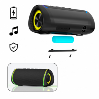 Haut-parleur Bluetooth sans fil professionnel 2026 avec batterie amovible, lecteur de musique, enceintes portables
