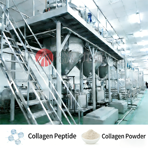 Impianto di Produzione Industriale di Peptidi di Collagene da Pelle e Ossa di Pesce/Pecora/Pollo/Maiale - Product Image 1