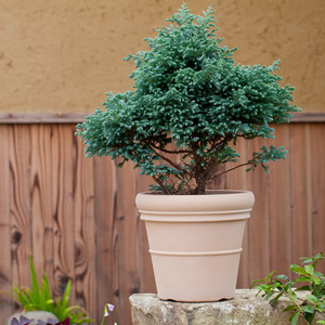 Milan Chậu trồng cây ngoài trời 18 inch chậu Đất Sét mô phỏng chậu hoa phong cách đơn giản chậu trồng cây lớn trong vườn - Product Image 4