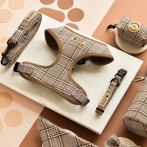 <span class=keywords><strong>Collar</strong></span> de perro personalizado transpirable para tienda de mascotas, superventas, con logotipo de marca, arnés de diseñador personalizado para cachorros, chaleco y accesorios de correa - Product Image 4