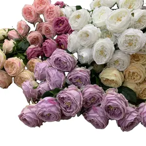Bunga Buatan Sentuh QSLH-F111, Bunga Mawar Dekorasi Pernikahan dan Rumah Austin Rose Flower untuk Dekorasi Pernikahan