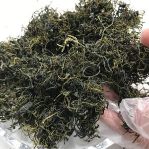 <span class=keywords><strong>Jiao</strong></span> <span class=keywords><strong>gu</strong></span> <span class=keywords><strong>lan</strong></span> B grade herbe chinoise séchée à sept feuilles gynostem thé à herbes 5008 - Product Image 1