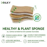 Éponge de cuisine rectangulaire écologique en fibres de coco naturelles et pâte de cellulose de bois, biodégradable, double face, tendance, en vrac