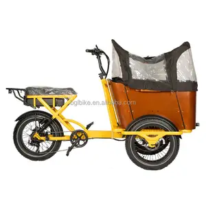 Electric cargo bike hybrid tree wheel ebike delivery bike with front wood box full loading europe stock dutch bike