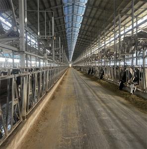 亜鉛メッキされたジャージー牛のヘッドロック牛の世話のための経済的に価格設定された動物の飼育機器 - Product Image 3