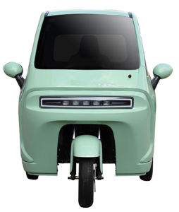 Vélo électrique tricycle en gros, homologué EEC COC L2e, à 3 roues, entièrement fermé, pour adultes - Product Image 1