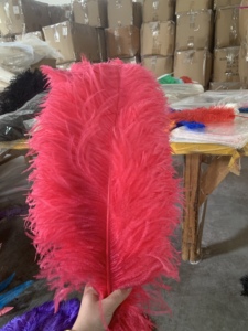 Grandes plumes d'autruche rose vif de 16 pouces pour décoration de centre de table, plumes de carnaval, plumes de corail, plumes noires et blanches pour bricolage, mariage, artisanat et fête - Product Image 2