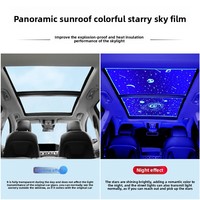 Film universel effet ciel étoilé pour plusieurs types de véhicules avec éclairage d'ambiance
