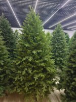 Deluxe Neues Modell Reiner PE Extra-Dichter Brandneuer Realistischer Baum-Szenen-Arrangement Weihnachtsbaum