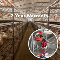 Système de cages à poulets automatiques à plusieurs niveaux de type H, équipement avicole à haute efficacité pour l'élevage commercial de poulets