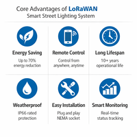 Dispositif de contrôle d'éclairage CTW501BL, variateur intelligent Lorawan, entrée 480V, LED étanche, télécommande, système d'éclairage public