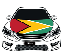 Housse de capot de voiture en polyester extensible avec drapeau national du Nigeria, housse de capot de moteur élastique décorative pour exposition automobile