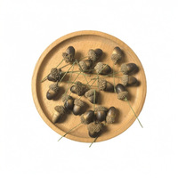 Petites écorces d'acornes artificielles en mousse, noisettes, accessoires de Noël DIY, cônes de pin naturels, décorations de châtaignes