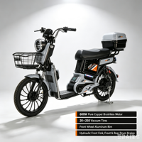 Vélo électrique 48V directement de l'usine, moteur brushless 600W en cuivre pur, pneus sous vide 20*250, avec panier et boîte arrière, vélo de ville pour trajets quotidiens