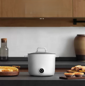 Casserole électrique, poêle à frire antiadhésive de 1,2 L, cuiseur rapide pour nouilles, mini-casserole pour steak, œufs, riz frit, soupe avec réglage de la puissance - Product Image 6