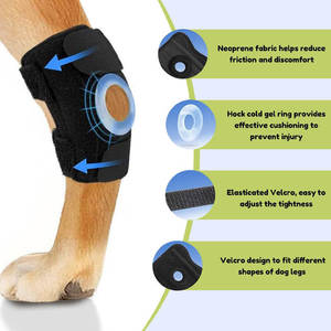 Attelle de Genou pour <span class=keywords><strong>Chien</strong></span>, Protection des Ligaments ACL, Soutien à la Rééducation, Haute Élasticité, Anti-Collision, pour l'Entraînement - Product Image 3