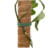 24 بوصة طول للتمديد ألياف جوز الهند العنب كرمة أقطاب ل نباتات للحديقة