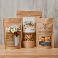 Sachet en papier kraft biodégradable multi-tailles avec fenêtre transparente et fermeture éclair pour l'emballage de snacks et aliments secs