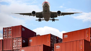 Spedizione Internazionale LCL DDP Rapida via Aerea, Arrivo in 6-10 Giorni DE/Germania, Dropshipping FBA, Magazzino Oltremare, Assicurazione 24/7 - Product Image 3