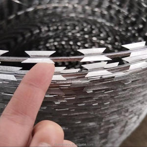 <span class=keywords><strong>Alambre</strong></span> <span class=keywords><strong>de</strong></span> Púas Concertina BTO22 para el Mercado Filipino, Estándar, 500 mm <span class=keywords><strong>de</strong></span> Diámetro Exterior, Alta Resistencia, <span class=keywords><strong>Alambre</strong></span> <span class=keywords><strong>de</strong></span> 2.5 mm para Construcción - Product Image 3