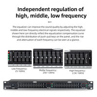 Système audio COKYIS en gros d'usine, égaliseur graphique stéréo double 15 bandes EQ-215 en métal, équipement portable actif 2 canaux