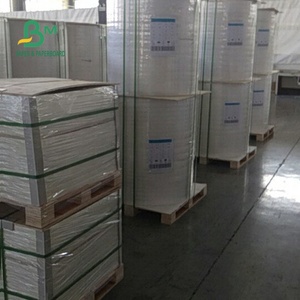 Impermeable <span class=keywords><strong>RPD</strong></span> 100um blanco de papel sintético para impermeable resistente a la rotura - Product Image 1