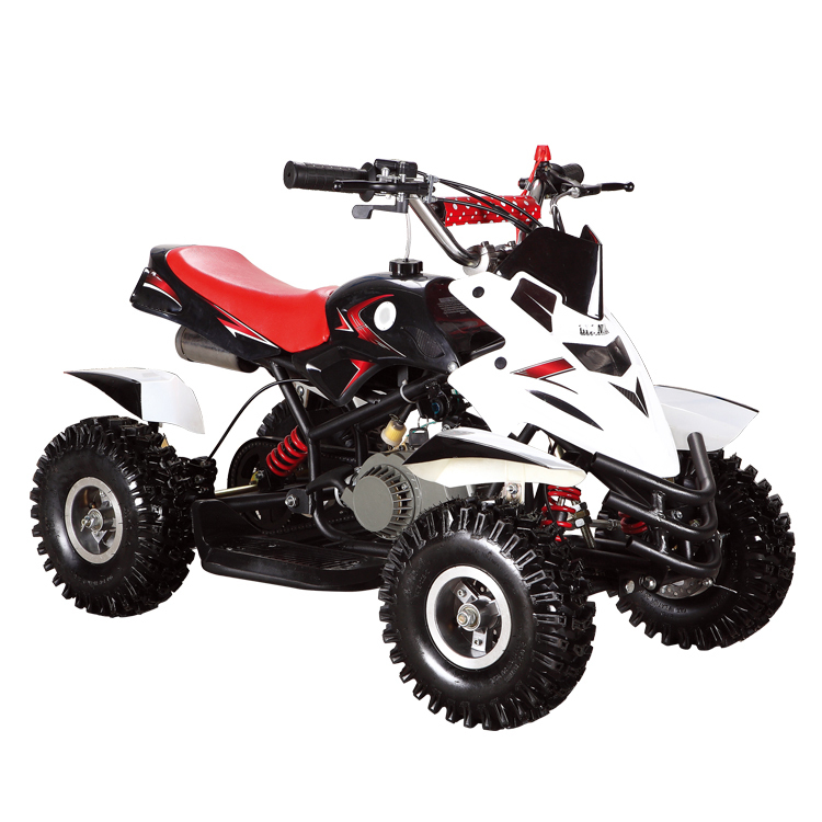 Kids ATV Children Mini Gasoline Quad