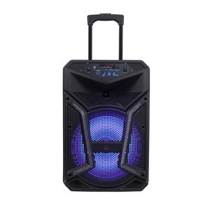 CQA Dj ลำโพง15นิ้วกล่องลำโพง<span class=keywords><strong>ฮ</strong></span>อร์น - Product Image 1