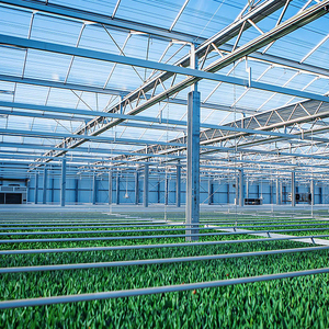 Grande <span class=keywords><strong>serre</strong></span> agricole tropicale multi-chapelles avec structure en acier galvanisé à chaud et bâche en film mince, portée <span class=keywords><strong>de</strong></span> 8 m, facilement assemblable pour - Product Image 5