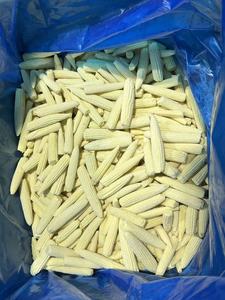 Maíz Entero Congelado IQF de Súper Calidad, Amarillo/Blanco, 100% Natural, Grado 50kg, Enjay Marketing, a Granel, Certificado HACCP, Saludable <span class=keywords><strong>2</strong></span> - Product Image 2