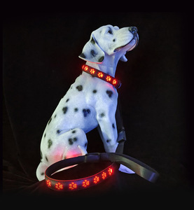 <span class=keywords><strong>Collar</strong></span> de perro con luz <span class=keywords><strong>LED</strong></span>, patrón sólido de lujo, cachorro intermitente, plomo <span class=keywords><strong>LED</strong></span> para perros pequeños, advertencia de seguridad para caminar de noche - Product Image 5