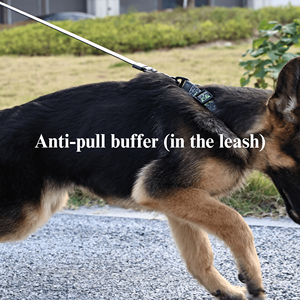 防水犬用首輪とリードセット、頑丈な高級犬用首輪、ビーチ、雨天用、高級ペット用首輪とリード、雨天用 - Product Image 6