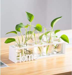 <span class=keywords><strong>Vase</strong></span> en verre à support en bois massif, station de culture de plantes aquatiques, décoration de bureau, offre spéciale - Product Image 6