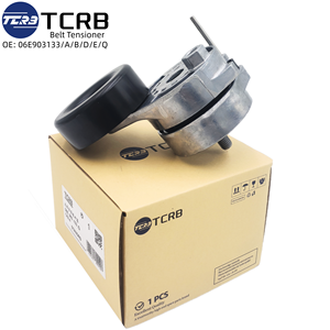 Tensor de Correa de Transmisión de Metal y Plástico Nuevo TCRB 06E903133Q/A/B/D/E para Audi con Garantía de 12 Meses - Product Image 2