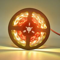 Bande lumineuse LED RGBIC RGB flexible DC24V SMD5050 12W/m 10 pixels SPI à changement de couleur décorative pour éclairage intérieur et éclairage de bar