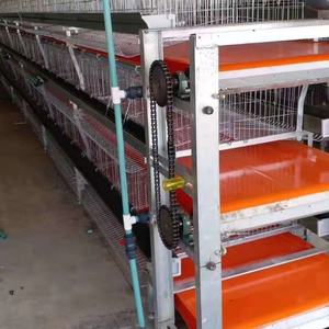 กรงเลี้ยงไก่เนื้อพร้อมระบบเก็บมูลอัตโนมัติ ลวดชุบสังกะสีหนา อุปกรณ์เลี้ยงไก่แบบปรับแต่งได้ - Product Image 4